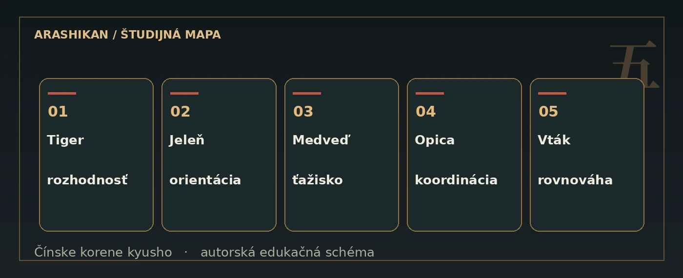 Prehľad piatich zvierat v súčasnej podobe Wu Qin Xi. Diagram vyjadruje tréningové kvality, nie medicínske priradenie orgánov.