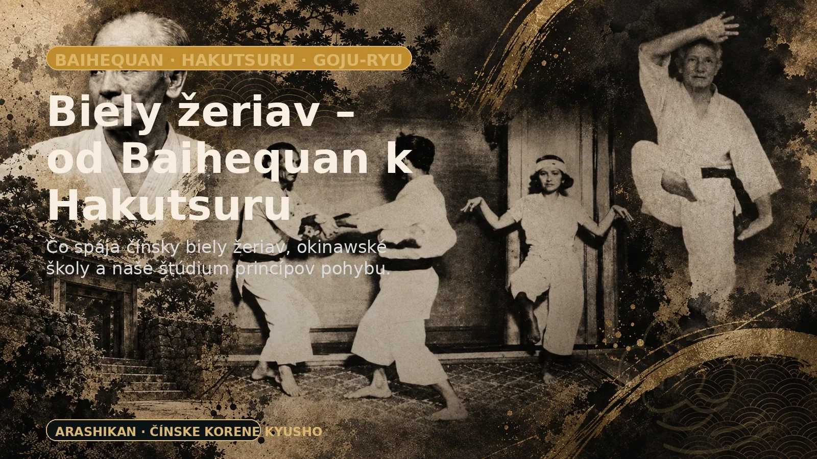 Ilustrácia k článku: Biely žeriav – od čínskeho Baihequan k okinawskému Hakutsuru
