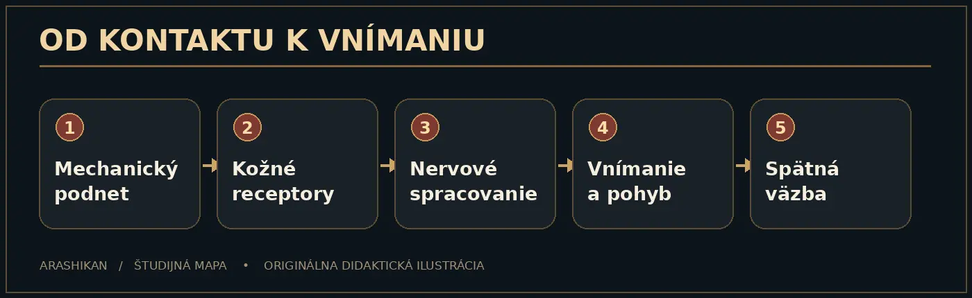 Autorská didaktická schéma kapitoly