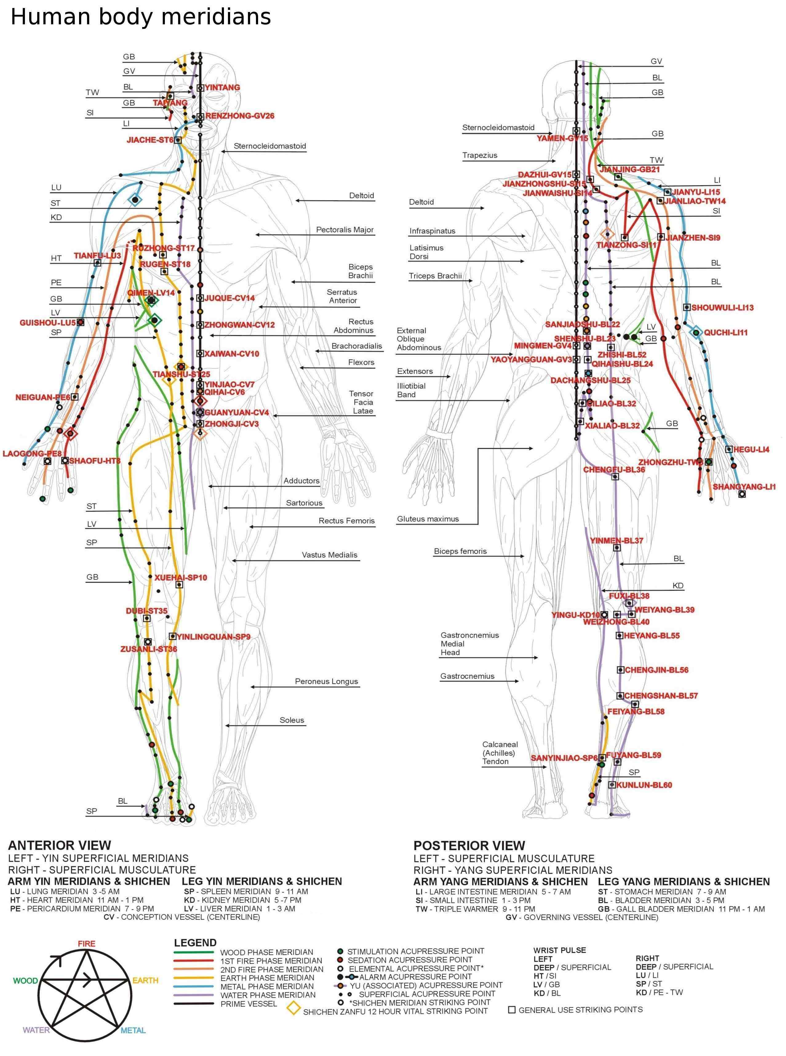 Schematická mapa meridiánov