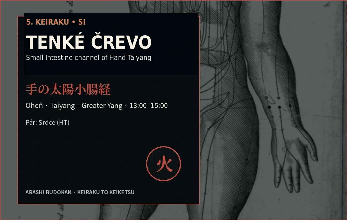 5. Keiraku – Tenké črevo (SI)