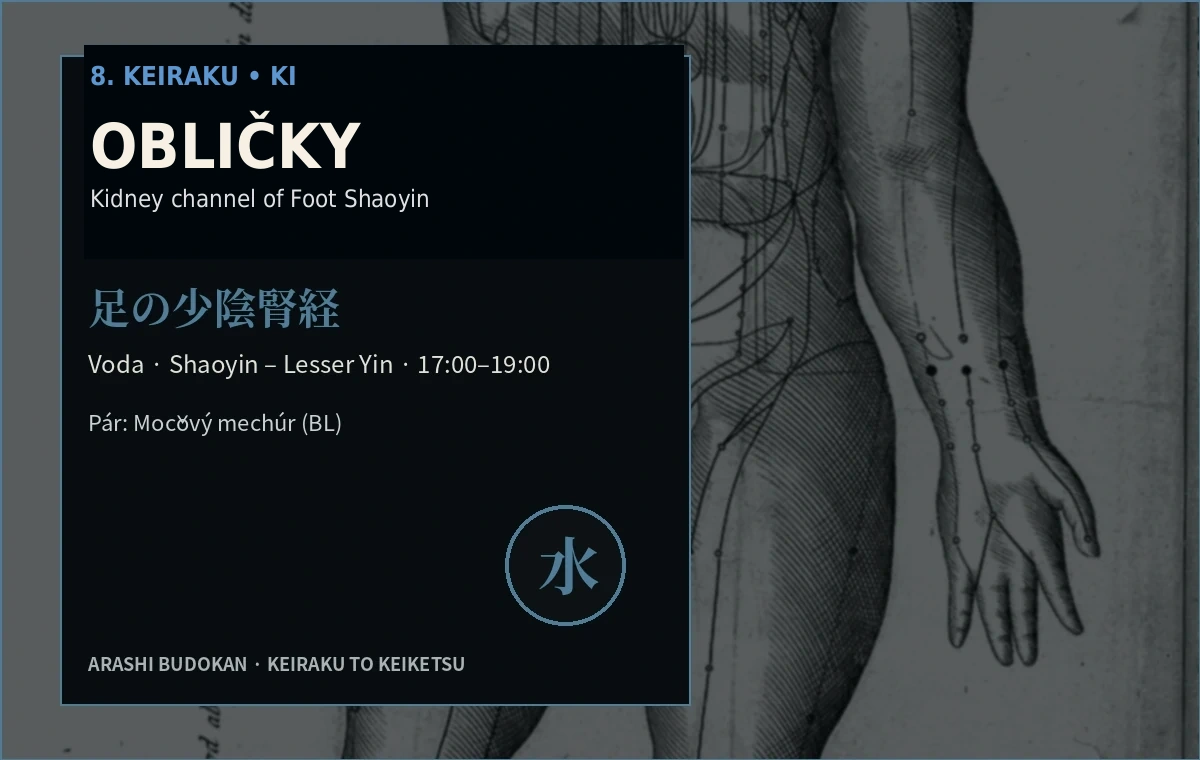 8. Keiraku – Obličky (KI)
