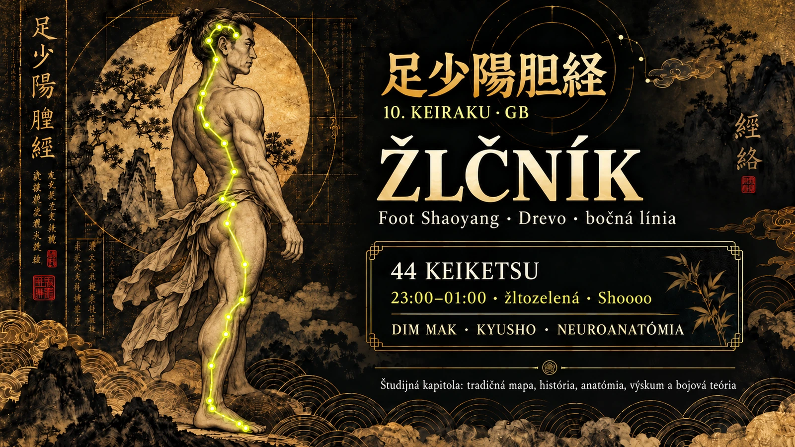10. Keiraku – Žlčník (GB): Shaoyang medzi Dim Mak, Kyusho a neuroanatómiou