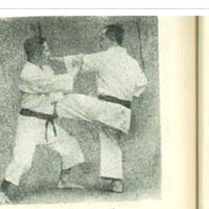 Historická dobová karate fotografia – tretí detail z tlačeného materiálu