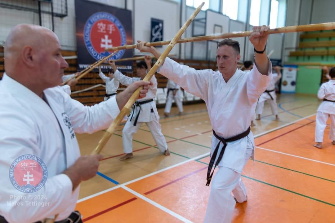 Kyusho Jutsu a Okinawské Kobudo
