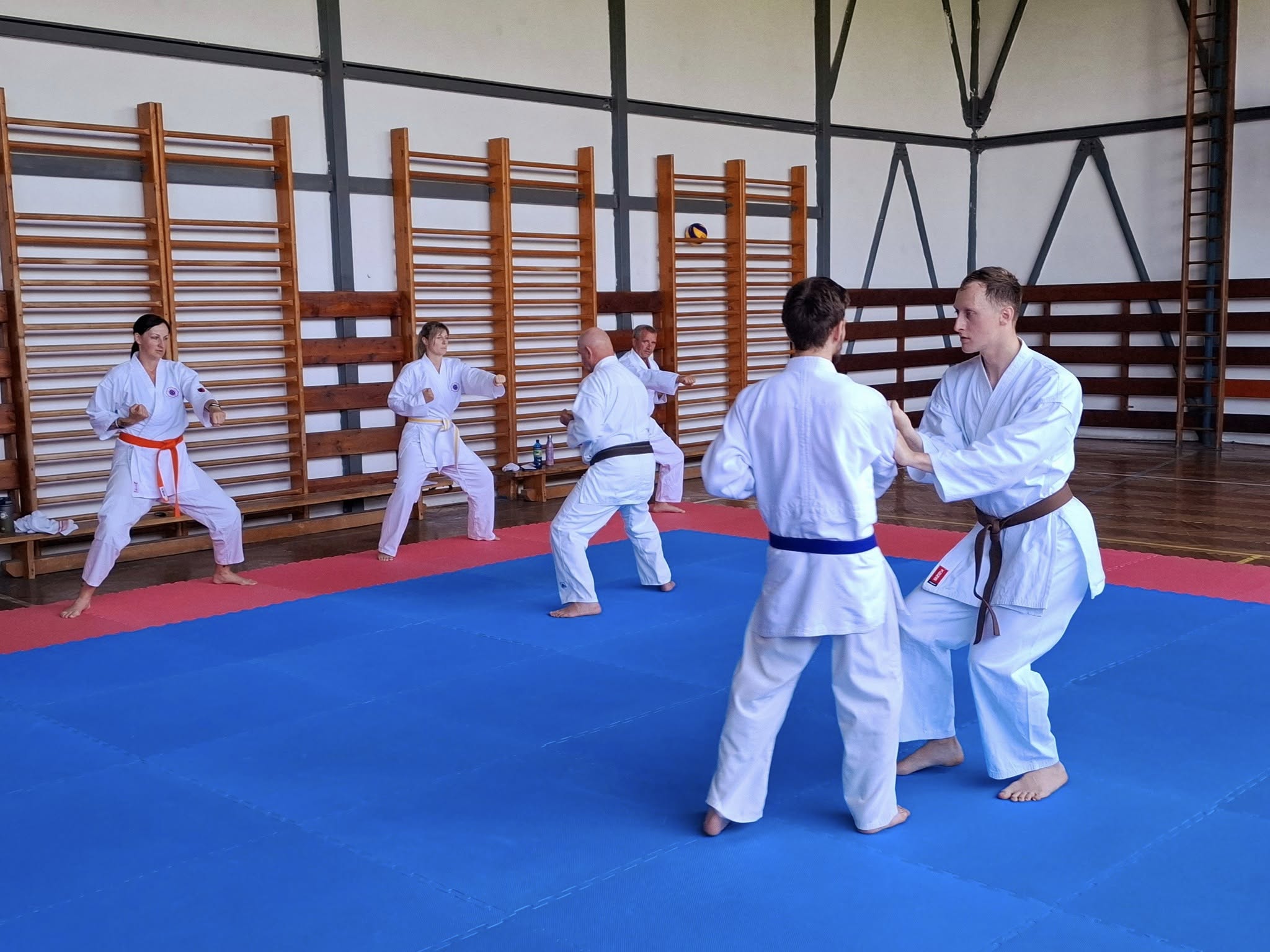 Karate pre mládež a dospelých